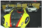 2769 Stand Lotus.jpg
