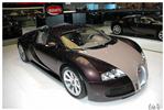 2771 Bugatti Veyron Hermes.jpg