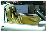 2951 Rinspeed Squba.jpg
