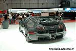 213 Mansory Veyron Vincero.jpg
