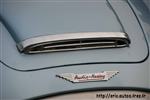 9990 Austin healey.JPG