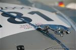 569 Jaguar.JPG