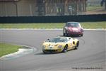 696 911 - GT40.JPG