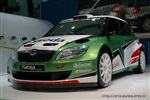 4824 Skoda Fabia S2000.JPG