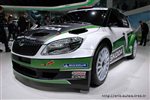 10646 Skoda.JPG