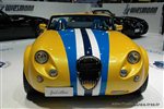 10693 Wiesmann.JPG