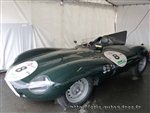 0347 LeMansB Jaguar Type D 1955.jpg
