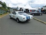 0391 LeMansB FORD Shelby Mustang GT 350.jpg