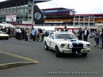 0413 LeMansB FORD Shelby Mustang GT 350.jpg
