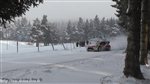 00003 Loeb.jpg