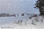 Mt Carlo13 7770.jpg