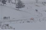 Mt Carlo13 7778.jpg