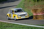 23782 Suran 2013.jpg