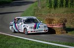 23798 Suran 2013.jpg