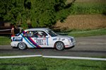 23801 Suran 2013.jpg