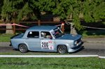 23816 Suran 2013.jpg