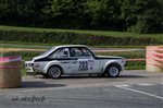 23877 Suran 2013.jpg