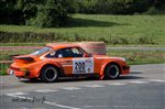 23881 Suran 2013.jpg