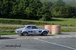23887 Suran 2013.jpg