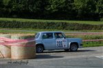 23907 Suran 2013.jpg