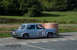 23909 Suran 2013.jpg