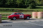 23915 Suran 2013.jpg