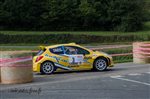 23922 Suran 2013.jpg