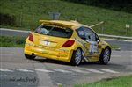 23923 Suran 2013.jpg