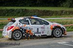 23936 Suran 2013.jpg