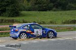 23942 Suran 2013.jpg