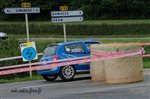 23969 Suran 2013.jpg