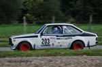 23979 Suran 2013.jpg
