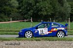 24055 Suran 2013.jpg