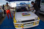 24138 Suran 2013.jpg