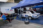 24162 Suran 2013.jpg