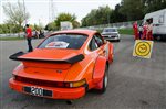 24171 Suran 2013.jpg