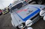 24172 Suran 2013.jpg