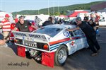 31333 Chataigne 2015.jpg
