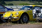 31345 Chataigne 2015.jpg
