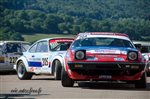 31366 Chataigne 2015.jpg