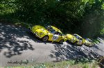 31527 Chataigne 2015_.jpg