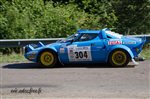 31600 Chataigne 2015.jpg