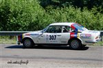 31617 Chataigne 2015.jpg