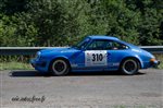 31628 Chataigne 2015.jpg