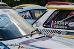 31659 Chataigne 2015.jpg