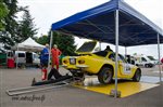 31726 Chataigne 2015.jpg