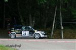 31867 Chataigne 2015.jpg