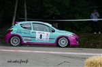 31874 Chataigne 2015.jpg