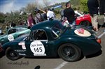 29536 Tour Auto 2015.jpg