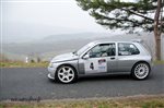 29356 Vignes 2015 Mornay Clio.jpg